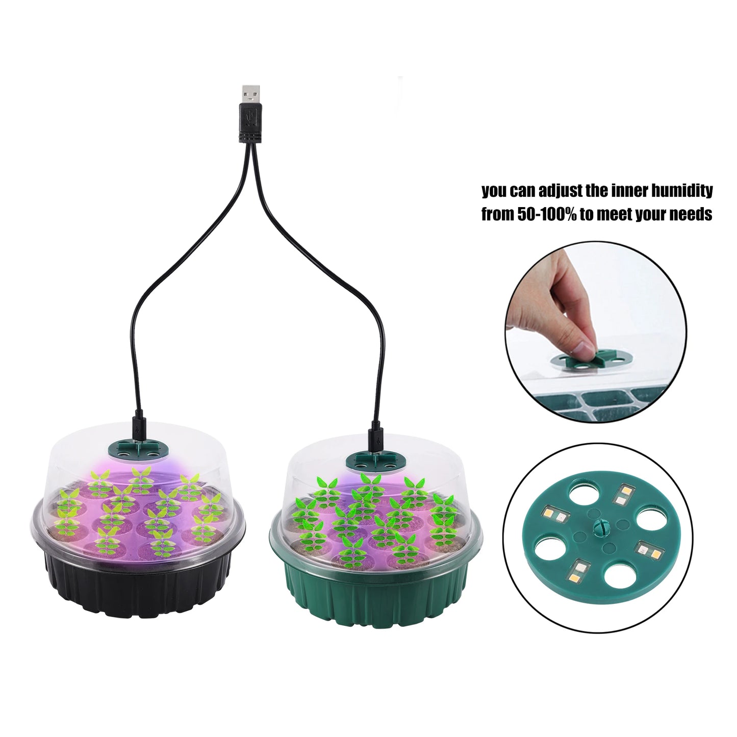 Ventilation Germination Box