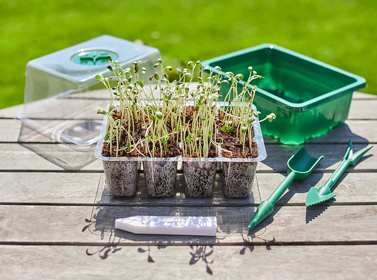 Ventilation Germination Box