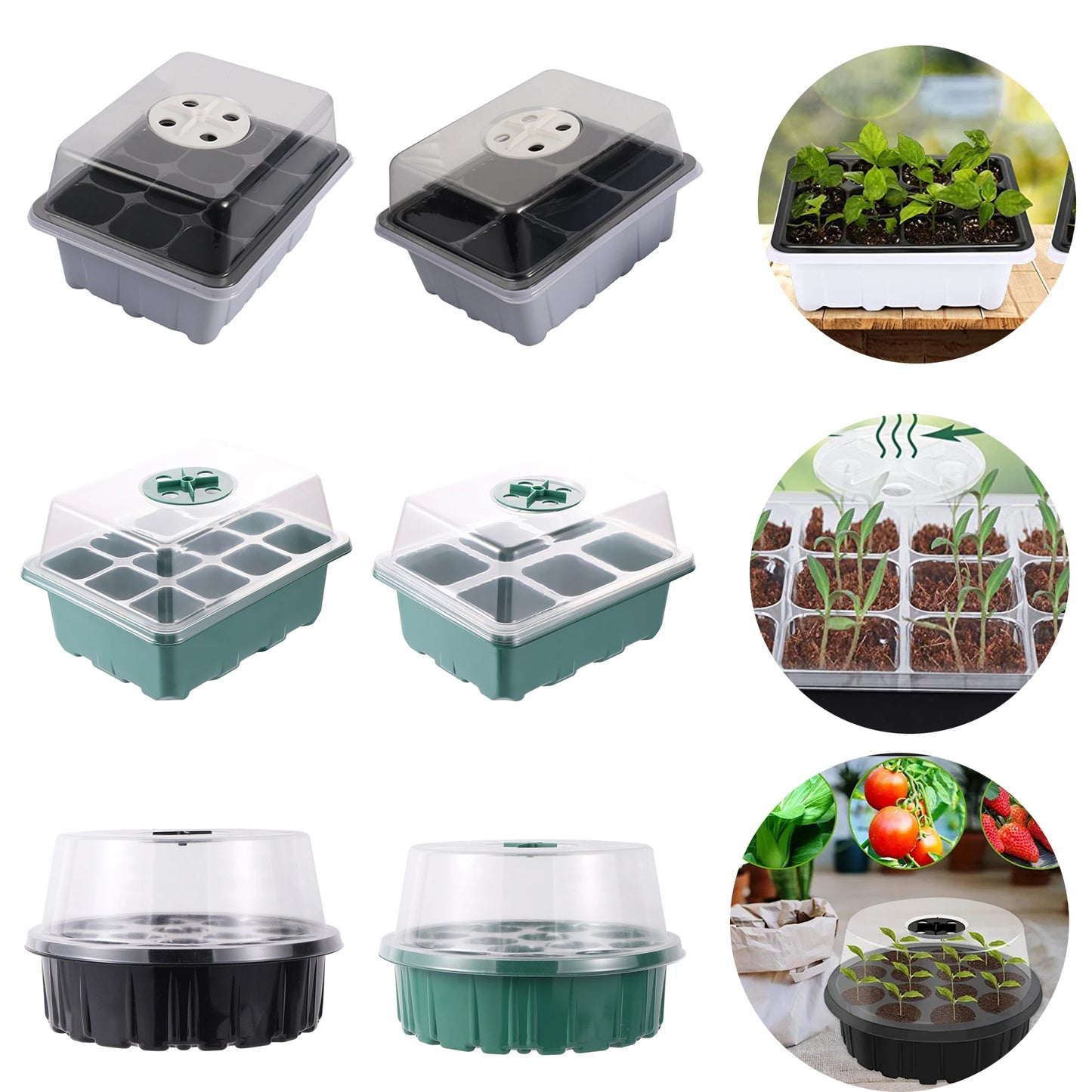 Ventilation Germination Box