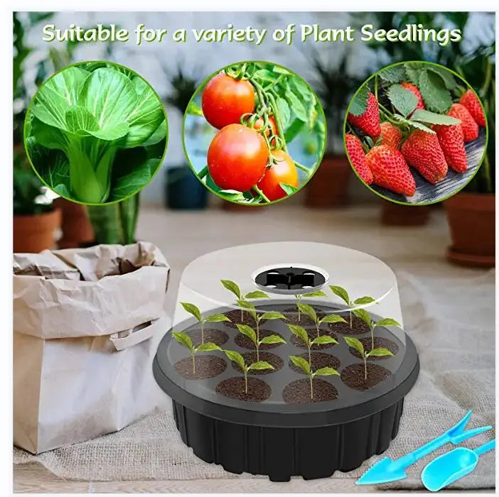 Ventilation Germination Box